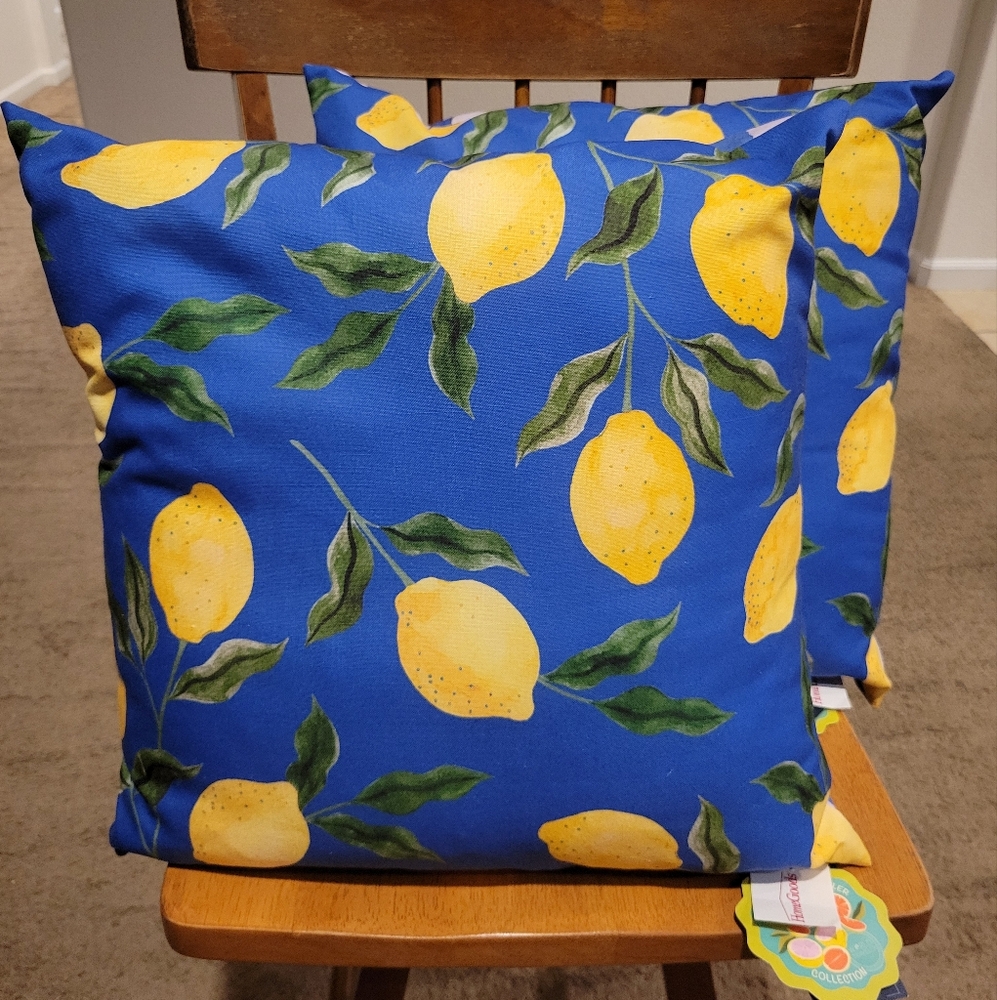 Home Decor/Couch Pillows